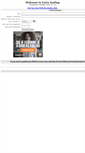 Mobile Screenshot of extsurfing.com